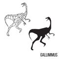 Gallimimus silhouette polygonal illustration