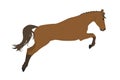 vector illustration of a running and jumping horse in brown color isolated on a white background. Royalty Free Stock Photo