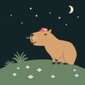 A cute capybara is on the lawn at night