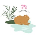 Cute capybara chilling in the water