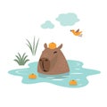 Cute capybara chilling in the water