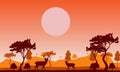 African savanna at sunset. Silhouettes of animals and plants. Royalty Free Stock Photo