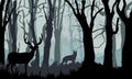 Silhouette of deer, doe standing on meadow in forrest Royalty Free Stock Photo