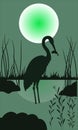 Gray Heron. Night. The bird is in the water. Leggy bird. Royalty Free Stock Photo