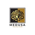 Medusa head logo symbol vector illustration Royalty Free Stock Photo