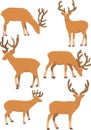 Deer movements vector Royalty Free Stock Photo