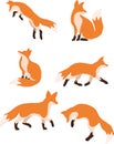 Fox movements vector Royalty Free Stock Photo