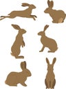 Rabbit movements vector Royalty Free Stock Photo