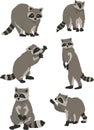 Raccoon movements vector Royalty Free Stock Photo