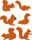 Squirrel movements vector Royalty Free Stock Photo