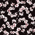 Minimalist Sakura Blossoms Swirl Seamless Pattern Royalty Free Stock Photo