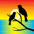 silhouette of a pair of birds on a branch with the sun in the evening,