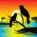 silhouette of a pair of birds on a branch with the sun in the evening