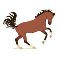 vector illustration of a jumping horse. Isolated on a white background. Royalty Free Stock Photo
