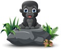 Cute baby gorilla cartoon sitting on the stone