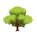 Forest or park tree vector illustration in cartoon style