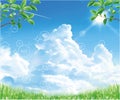 beautiful back ground with blue sky and cloud - fresh green
