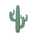 Cactus or cactoid plant vector illustration, cacti icon design, cute desert plants Royalty Free Stock Photo