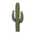 Cactus tree in cartoon flat style vector illustration