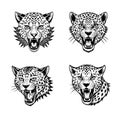Four tiger head logo icon vector illustration Royalty Free Stock Photo