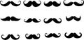 Beard Vector Art Collection, Diverse and Stylish Facial Hair Designs Royalty Free Stock Photo
