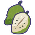 Soursop or graviola vector illustration, buah sirsak or prickly custard apple clip art, durian belanda or sirsat flat icon Royalty Free Stock Photo