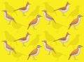 Bird Hornero Cartoon Cute Seamless Wallpaper Background