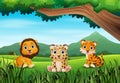 Baby wild animal cartoon in a beautiful green forest