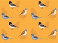Bird Junco Sparrow Cartoon Cute Seamless Wallpaper Background Royalty Free Stock Photo