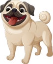 Cartoon happy pug dog standing Royalty Free Stock Photo