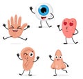 Cute five human senses organs cartoon character Royalty Free Stock Photo