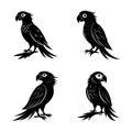 Set of silhouettes of sitting parrot in black in different poses isolated on a white background. Royalty Free Stock Photo
