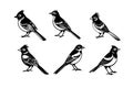 Bulbul bird sitting silhouette vector style white and black Royalty Free Stock Photo