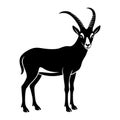 Goat standing silhouette Royalty Free Stock Photo