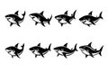 Shark silhouette vector illustration icons. Royalty Free Stock Photo