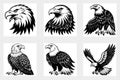 Majestic American Bald Eagle Hunting Silhouette Art Royalty Free Stock Photo