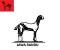 big and health jawa randu goat Royalty Free Stock Photo