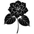 Minimalist Begonia Silhouette with Stems and Leaves