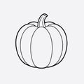 Contemporary Pumpkin Outline Vector Royalty Free Stock Photo