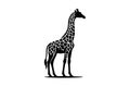 Giraffe silhouette vector illustration. Giraffe silhouette illustration Design silhouette icon Royalty Free Stock Photo