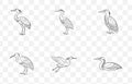 Print Elegant Bittern Line Art Vector Set Perfect for Illustrations Posters and Graphic Design Royalty Free Stock Photo