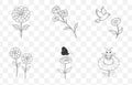 Print Detailed Marigold Line Art Vector Set for Artistic and Design Projects Royalty Free Stock Photo