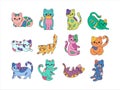 12 Colorful Doodle Cat Illustration Set Royalty Free Stock Photo