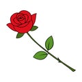 Chinese Red Rose Icon Vector Royalty Free Stock Photo