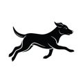 silhouette of dog on white background vector Royalty Free Stock Photo