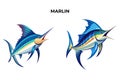 Marlin Fish Vector Illustration: A Versatile Design Resource Royalty Free Stock Photo