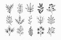 A set of wildflowers Floral branch and minimalist leaves for logos or tattoos. Hand drawn line wedding herb, elegant wildflowers. Royalty Free Stock Photo