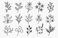 A set of wildflowers Floral branch and minimalist leaves for logos or tattoos. Hand drawn line wedding herb, elegant wildflowers. Royalty Free Stock Photo