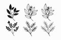 A set of wildflowers Floral branch and minimalist leaves for logos or tattoos. Hand drawn line wedding herb, elegant wildflowers. Royalty Free Stock Photo