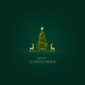 Merry christmas celebration background with green background. Christmas greetings with wishes vector design. Royalty Free Stock Photo